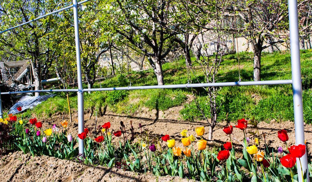 Lusya B&B Yeghegnadzor Dış mekan fotoğraf